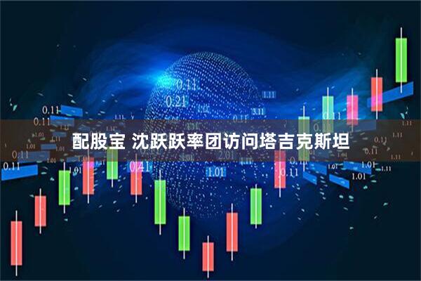 配股宝 沈跃跃率团访问塔吉克斯坦