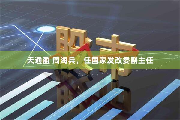 天通盈 周海兵，任国家发改委副主任