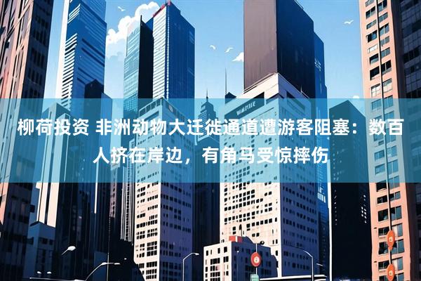 柳荷投资 非洲动物大迁徙通道遭游客阻塞：数百人挤在岸边，有角马受惊摔伤