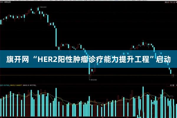 旗开网 “HER2阳性肿瘤诊疗能力提升工程”启动