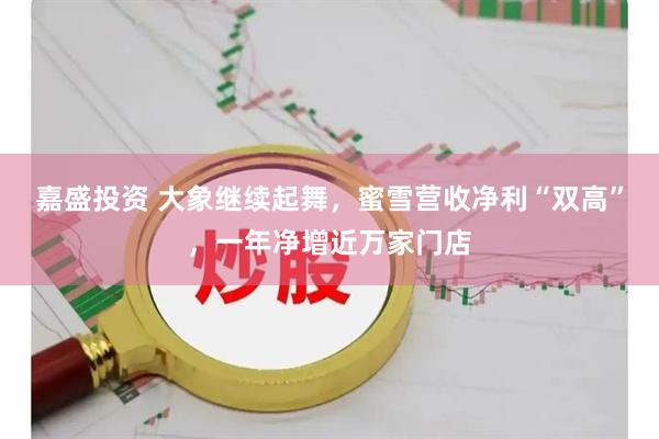 嘉盛投资 大象继续起舞，蜜雪营收净利“双高”，一年净增近万家门店