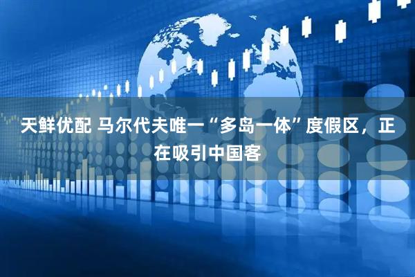 天鲜优配 马尔代夫唯一“多岛一体”度假区，正在吸引中国客