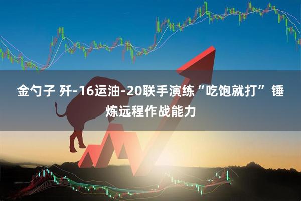 金勺子 歼-16运油-20联手演练“吃饱就打” 锤炼远程作战能力