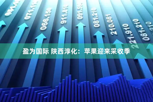 盈为国际 陕西淳化:苹果迎来采收季